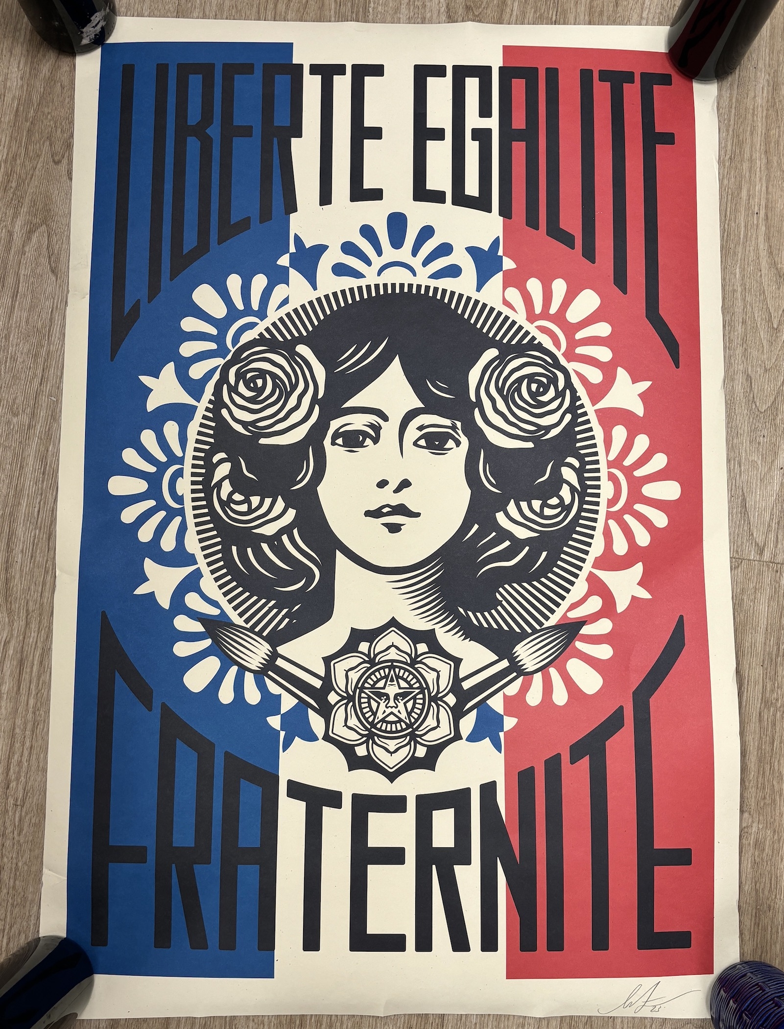 Shepard Fairey | Liberté | MutualArt