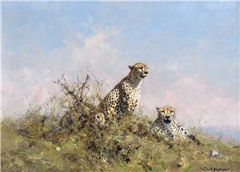 David Shepherd: A Brush with Nature - Gladwell & Patterson, London