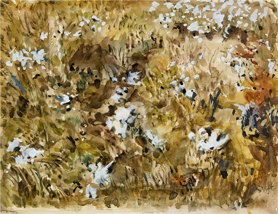 COTTON BOG by Patrick Swift