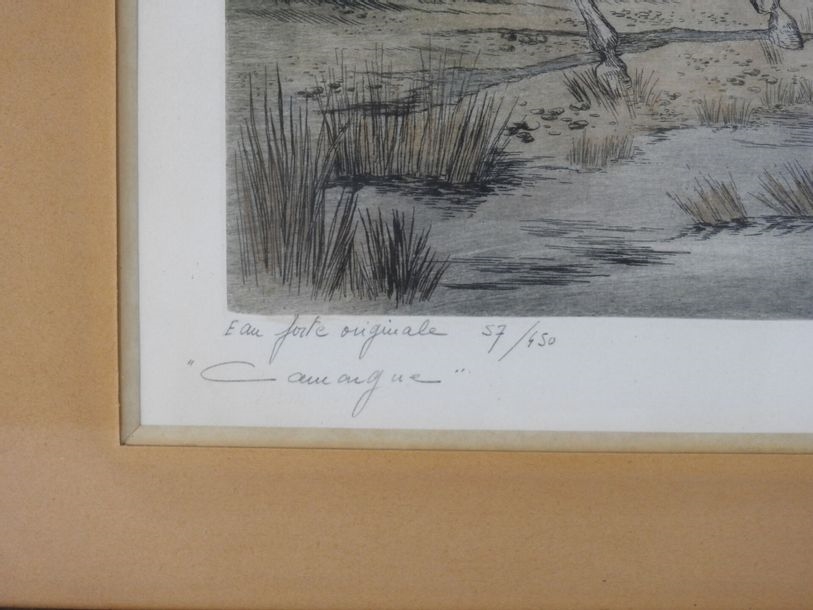 Artwork by Thérése Adam, Horses of the Camargue, Made of etching