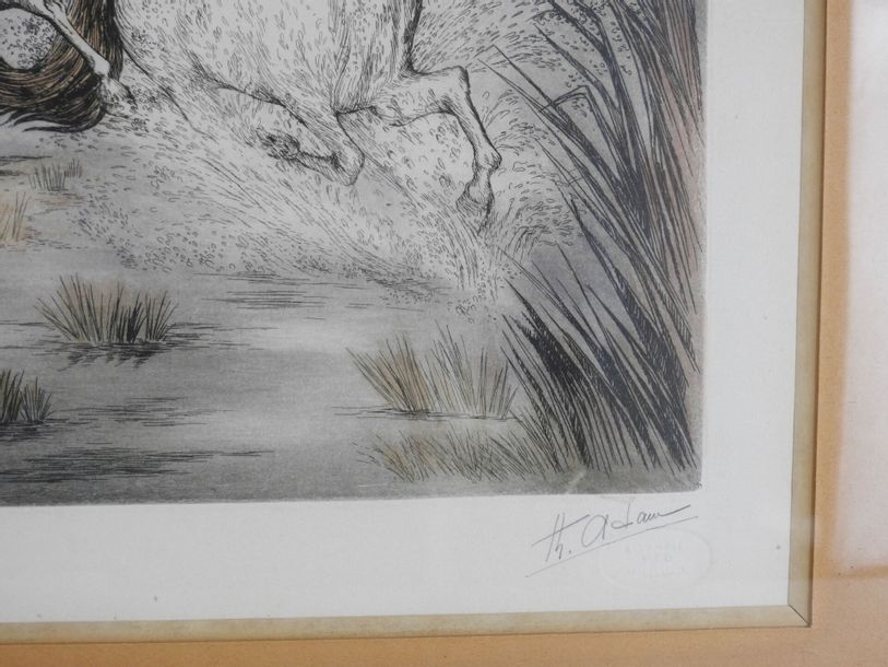 Artwork by Thérése Adam, Horses of the Camargue, Made of etching