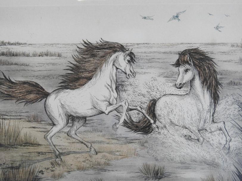 Artwork by Thérése Adam, Horses of the Camargue, Made of etching