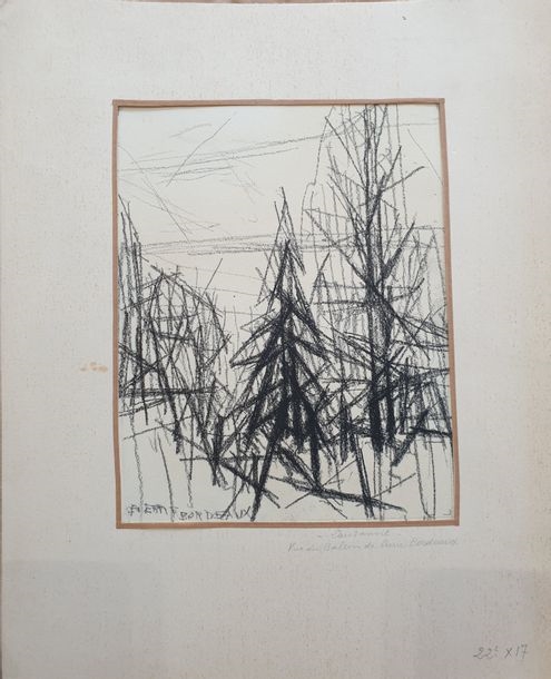 Artwork by Pierre Bourdeix, Landscape from our balcony in Lausanne, Made of graphite drawing on paper