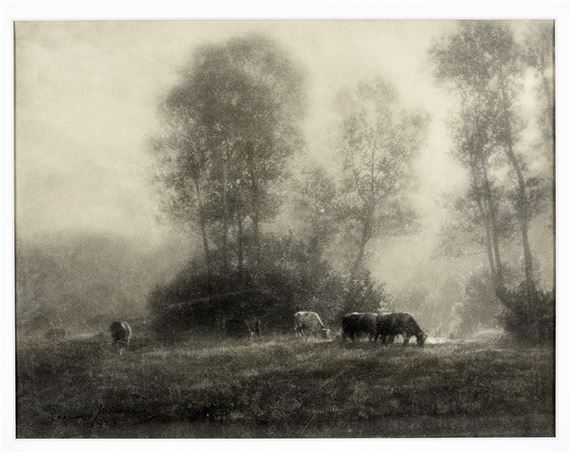 Tirage Photo Argentique Vintage France 1930 - Vache Et Agriculture 28x39 Cm