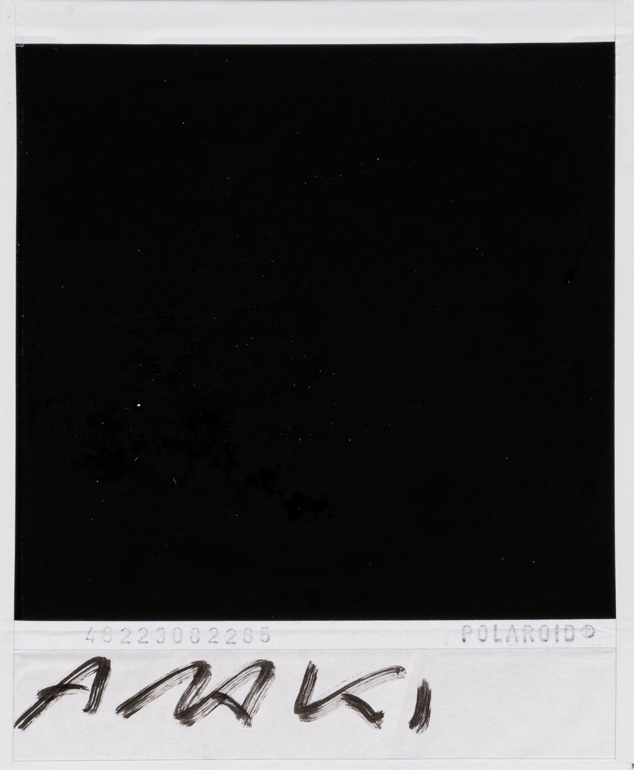 Nobuyoshi Araki | Untitled | MutualArt