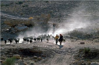 Goat Herding at Dawn, - Vivian Ronay