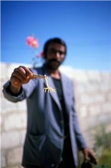 Ibrahim with Scorpion, - Vivian Ronay