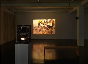 Boris Mikhailov: Windows of the Opportunities - Trautwein Herleth