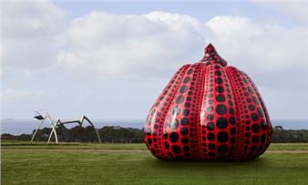 Monet, Kusama and Very Good Dog Art: Regional Australia’s Big Summer Exhibitions