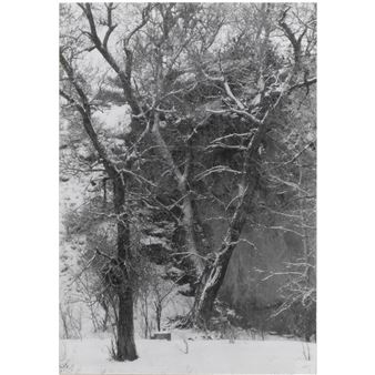 Near Cuchara, Colorado, - Myron Wood