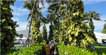 NADA Miami 2023 Zooms in on the Fun