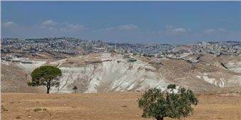 Citing Silencing of Arab Voices, Artists Cut Ties with Art Canada Institute