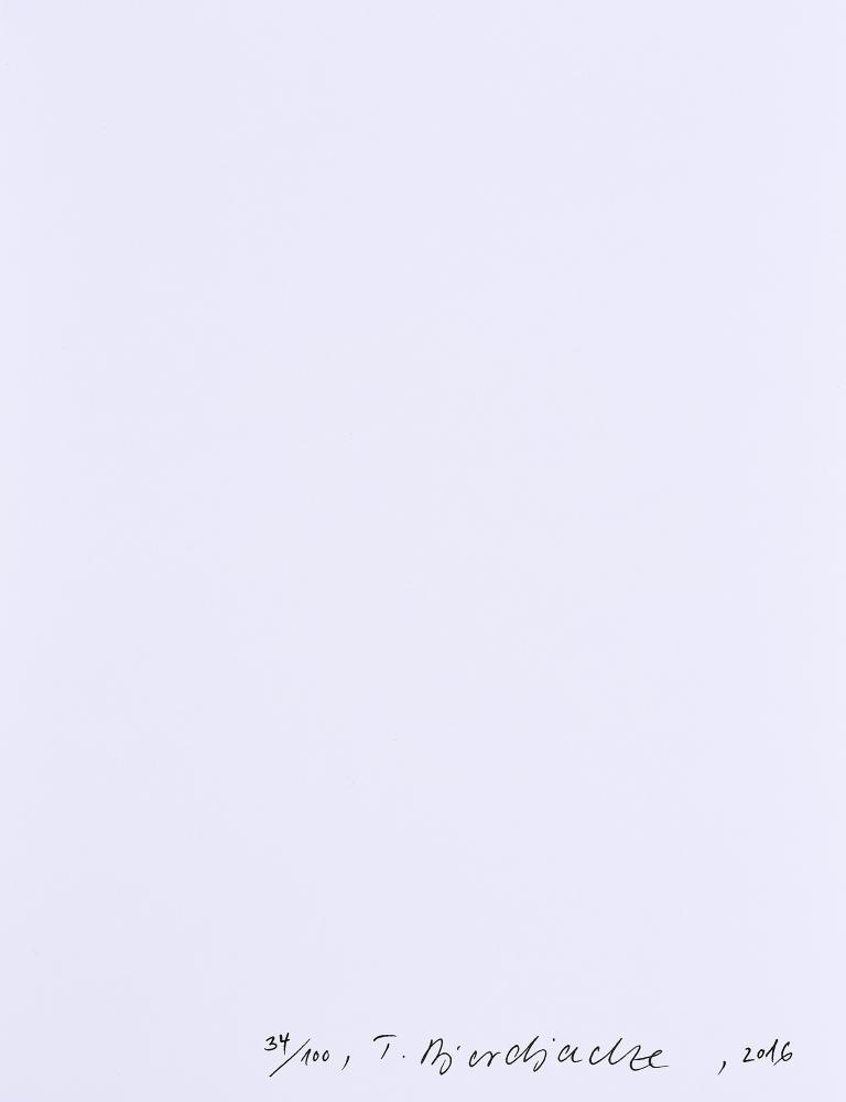 Artwork by Thea Djordjadze, Fomasas., Made of C-print on baryt paper