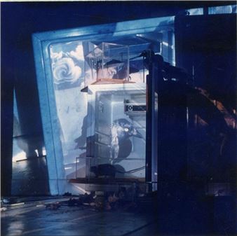 Natural Habita. Living Room - Helen Sear