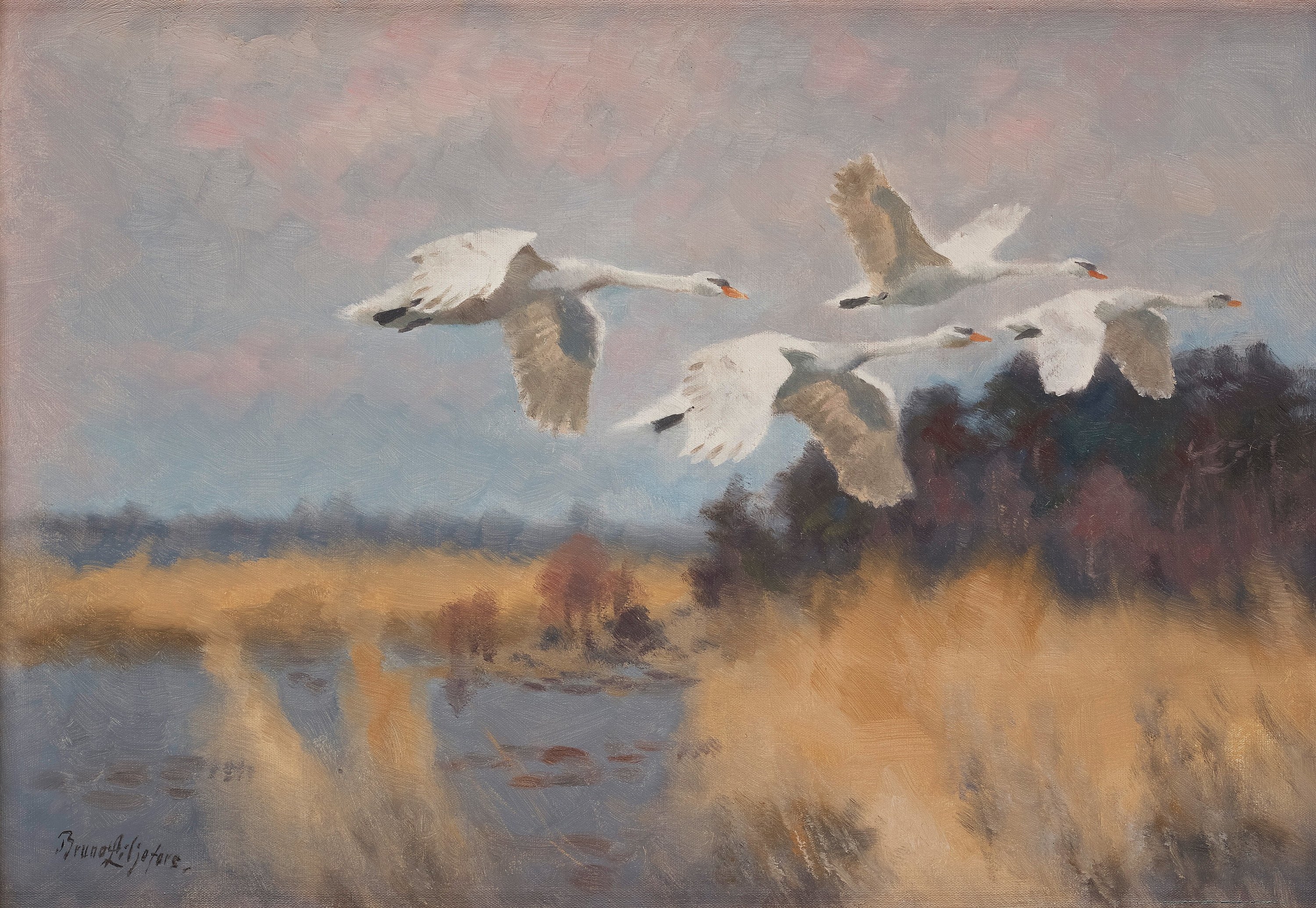 Artwork by Bruno Liljefors, Swans in flight, Made of Canvas