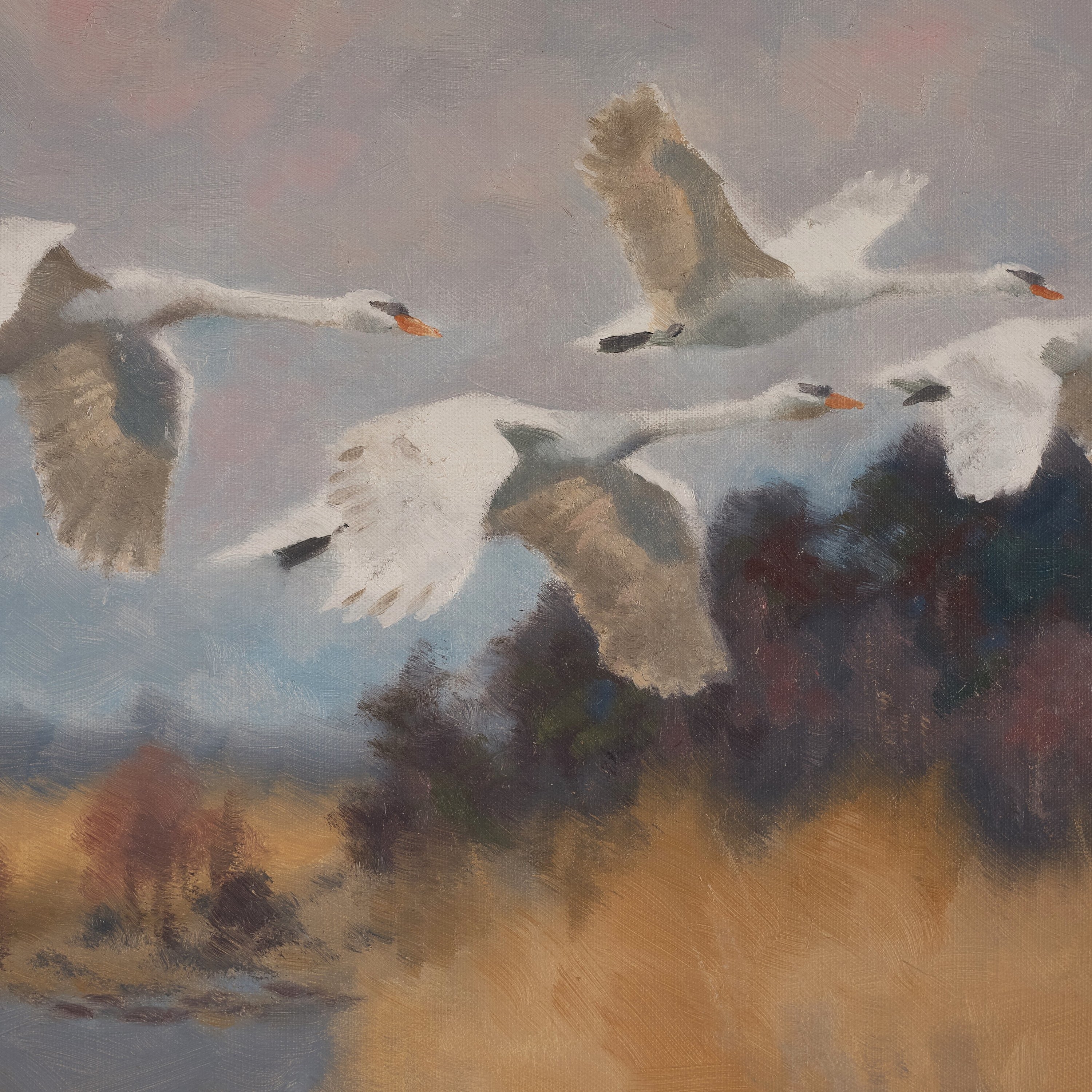 Artwork by Bruno Liljefors, Swans in flight, Made of Canvas