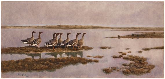 Geese in wetland.