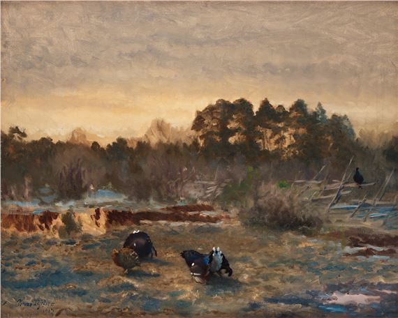 Grouse in twilight landscape