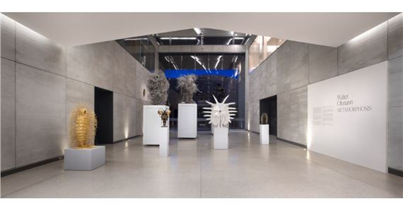 Walter Oltmann: Metamorphosis presented by The Norval Foundation at Goodman Gallery