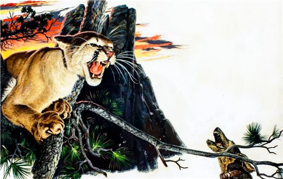 Mountain Lion in Pursuit by Robert Doares