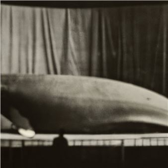 Bennett Miller - Gagosian, Beverly Hills