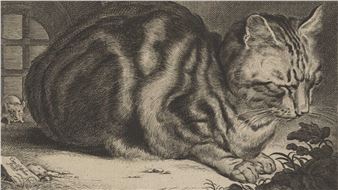 Life Captured in Line: 17th-Century Dutch and Flemish Prints - Milwaukee Art Museum