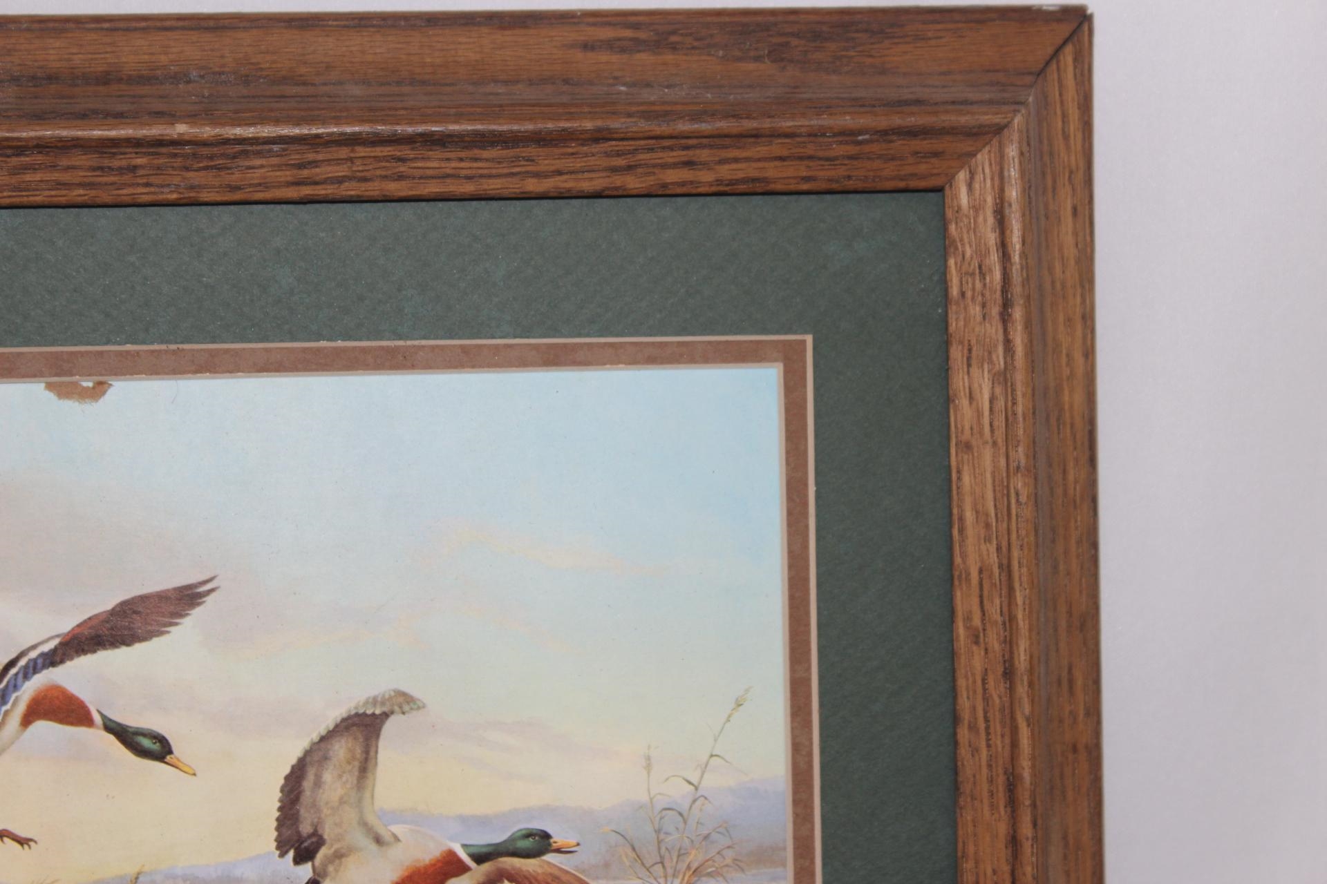 Vicente Roso | A Framed Duck Print | MutualArt