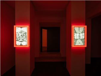 Dan Beudean: Doctor OutchItHurts opens a hospital that cures any sickness from any animal - Zina Gallery