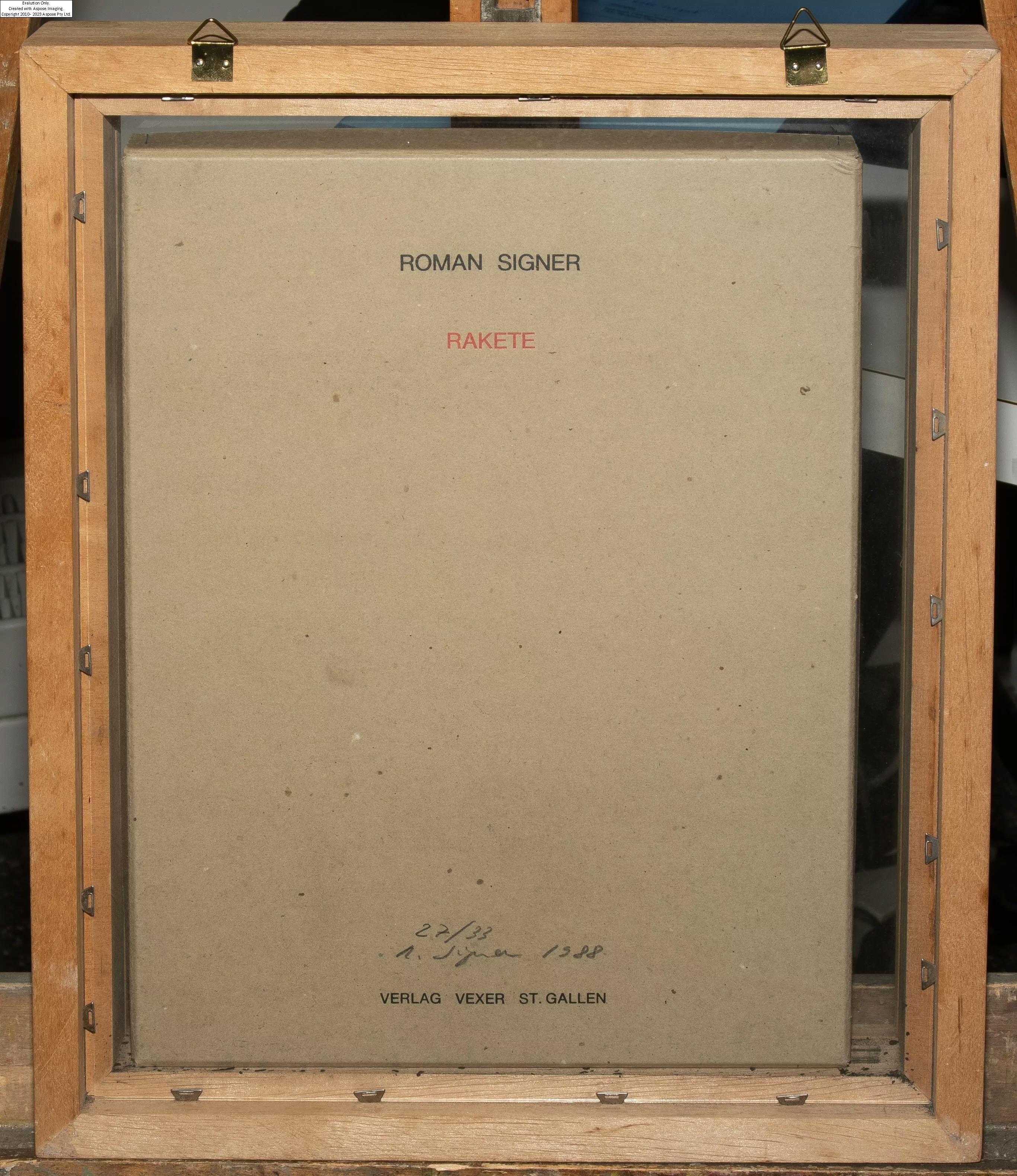 Roman Signer | Rakate | MutualArt