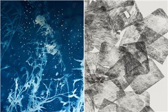 Christine Nguyen & Chris Oatey: Indexing Nature - David B. Smith Gallery