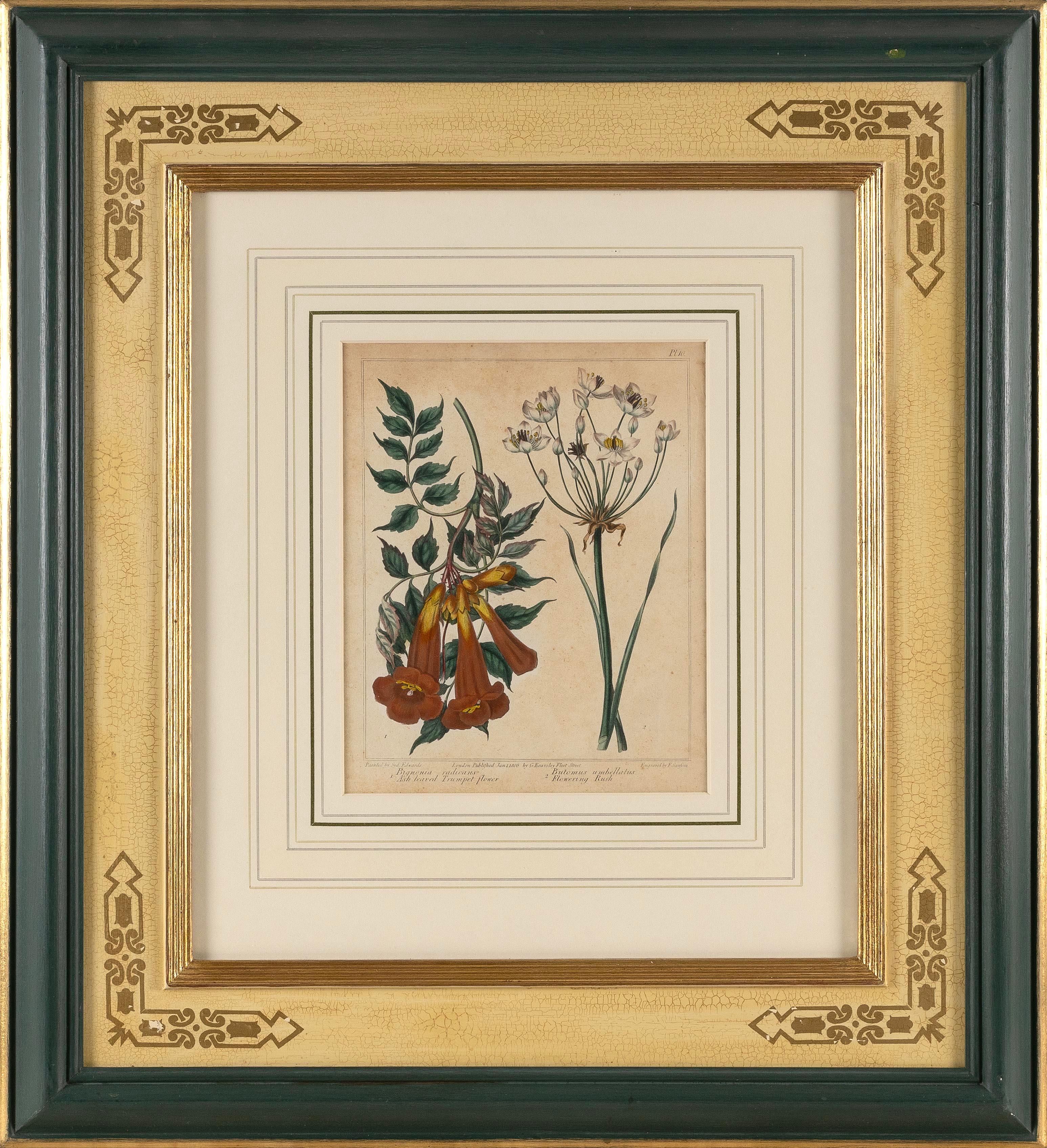 Artwork by F. Samson, SET OF THREE  BOTANICAL, Made of engraving
