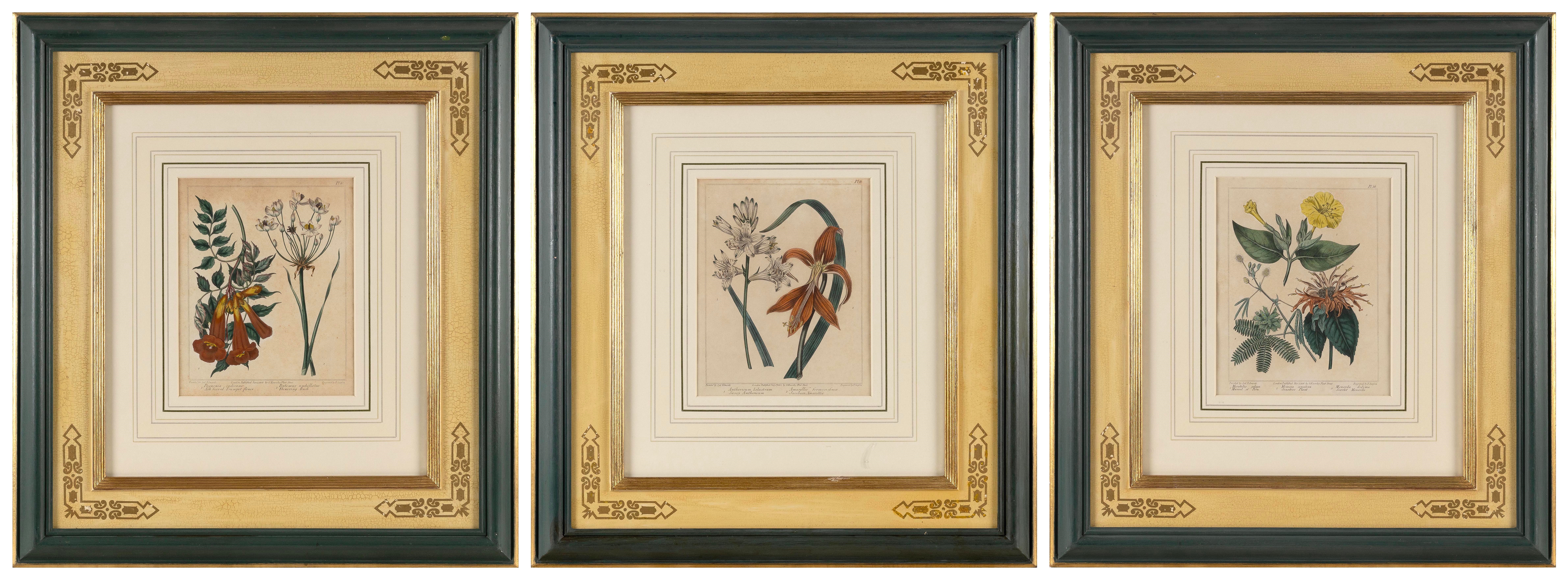 Artwork by F. Samson, SET OF THREE  BOTANICAL, Made of engraving