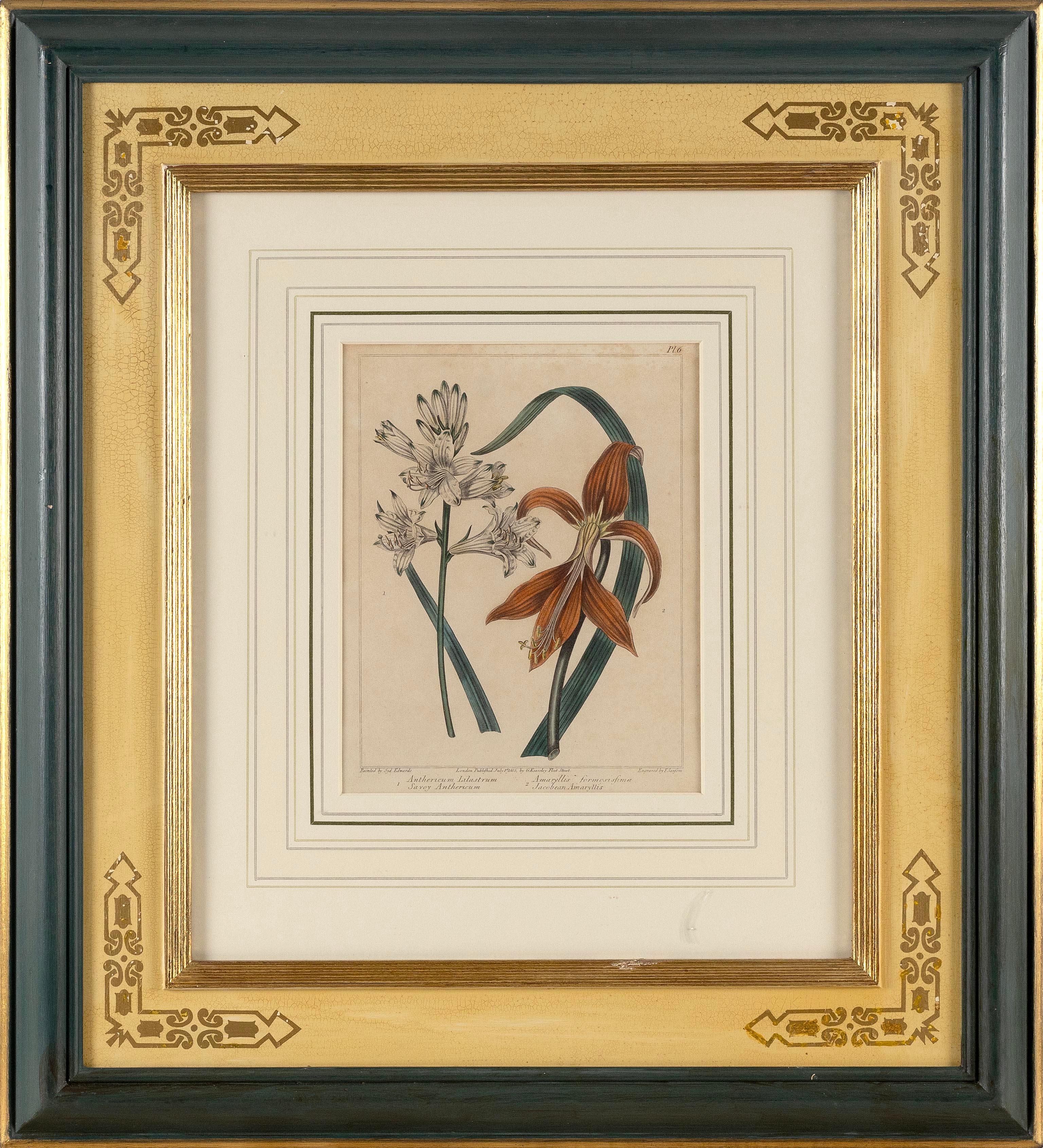 Artwork by F. Samson, SET OF THREE  BOTANICAL, Made of engraving