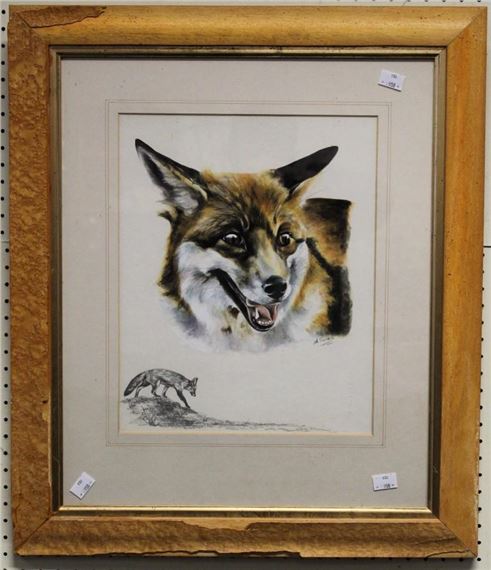 Ann Seward (20th century British) Study of a fox - Ann Seward