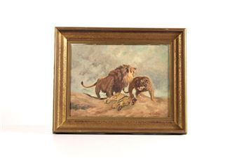 The lions - Antoine Vierling