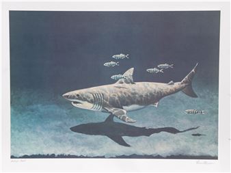 GREAT WHITE SHARK - Richard Ellis