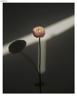 Spectrum of Lights - Nassima Landau
