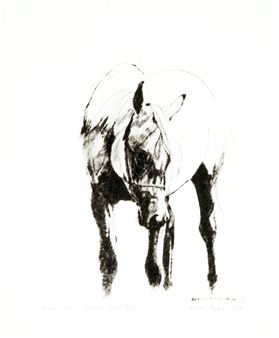 Grey Mare - Artur Popek