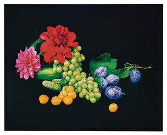 Stillleben 19–2007 - Shirana Shahbazi