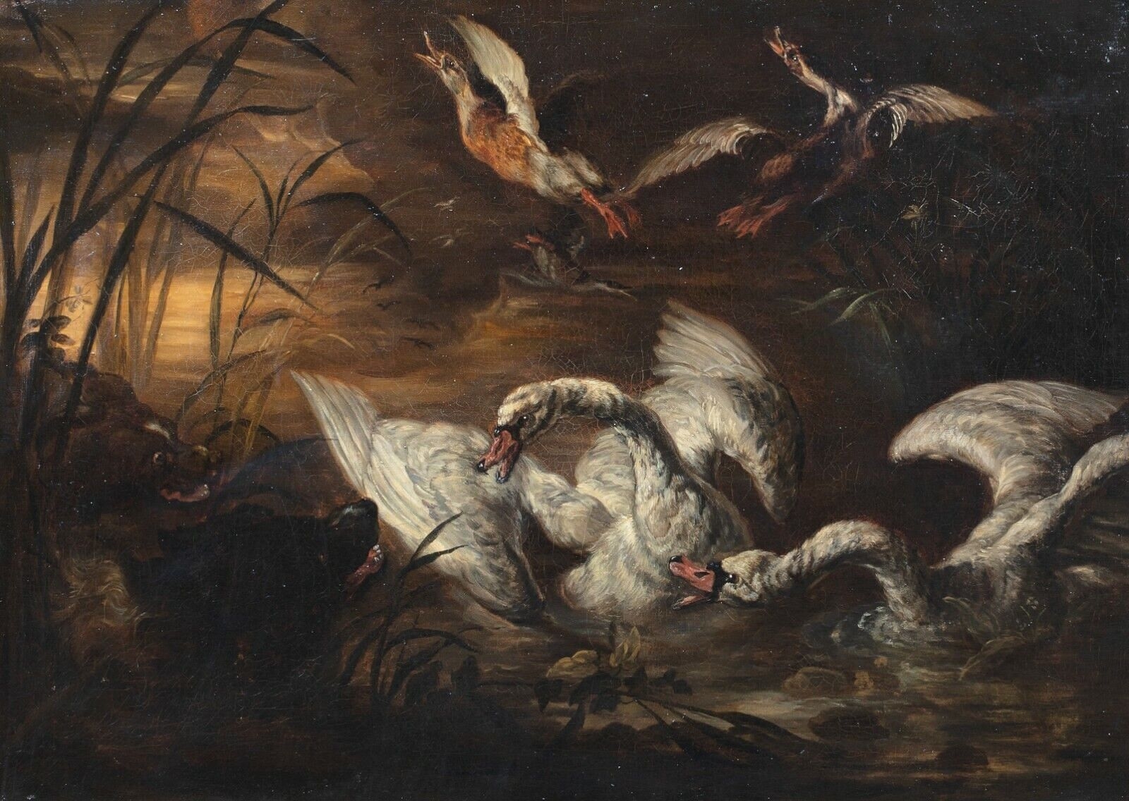 DOGS ATTACK SWANS & DUCKS OIL PAINTING by Abraham Hondius, 17th century