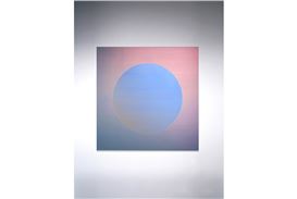 William Turner Gallery Is Currently Presenting the Exhibition 'Shingo Francis: Liminal Presence'