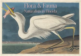 Flora & Fauna: Naturalists In Florida - Custom House Museum