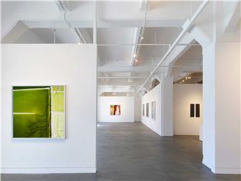 David Maisel: Un/Earthed - Haines Gallery