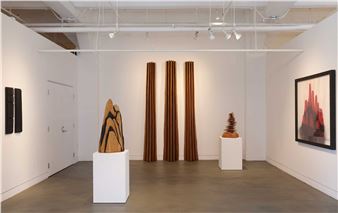 David Nash: Wildwood - Haines Gallery