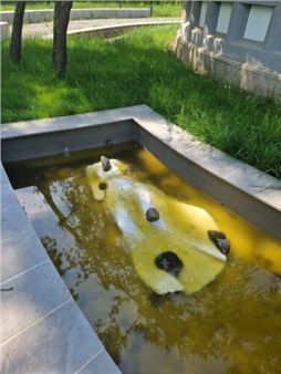 The Timișoara Scene and Its Connections With the International Directions of Artistic Research