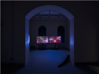 Sonya Dyer: The Ready Room - Primary