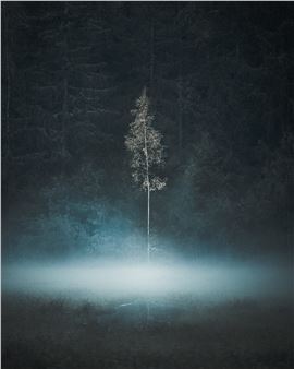 Photographer Mikko Lagerstedt Illuminates the Magical Solitude of the Nordic Winter