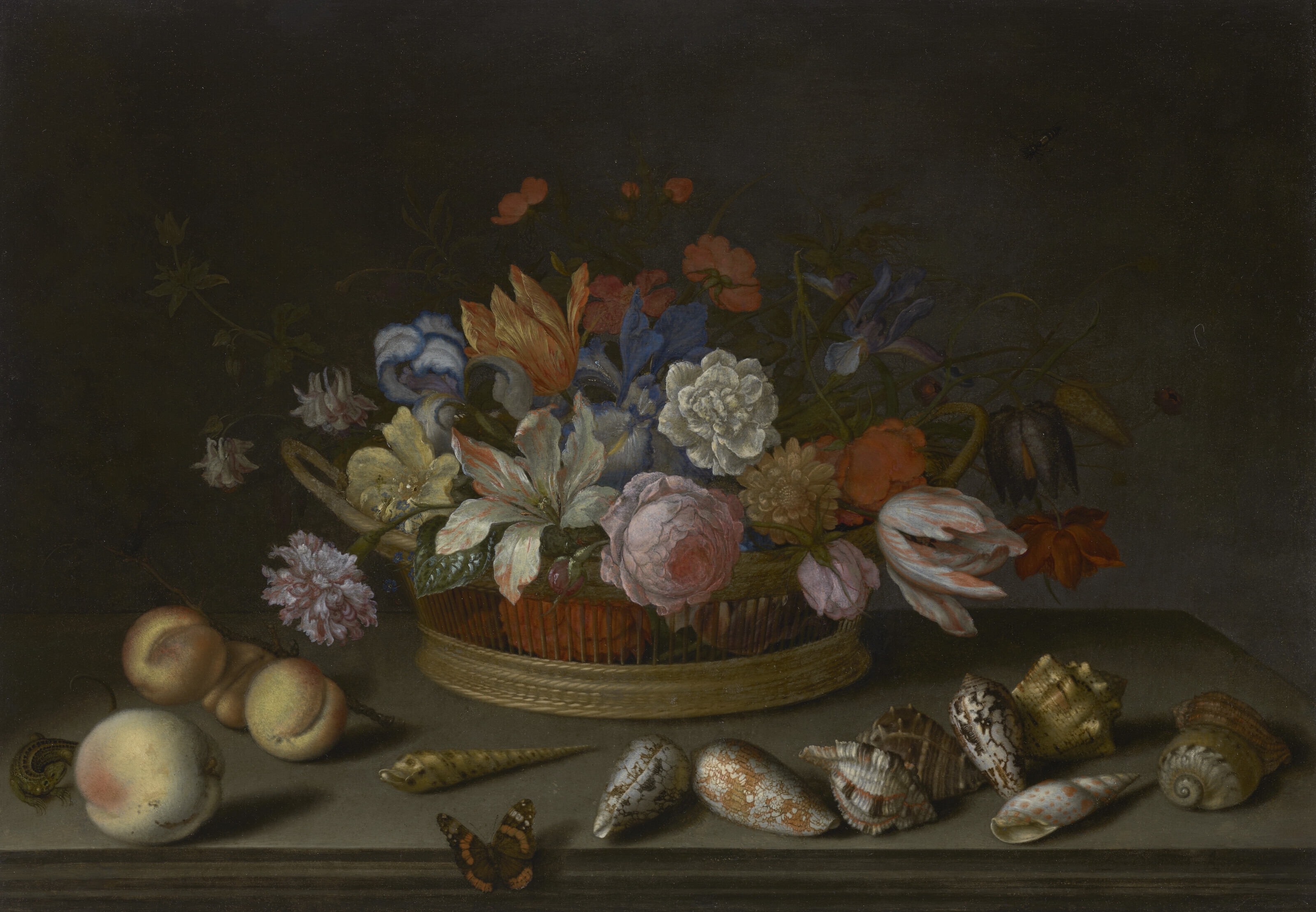 Artwork by Balthasar van der Ast, Tulips, roses and other flowers in a basket on a table, with shells, fruit, a lizard and a butterfly, Made of oil on panel