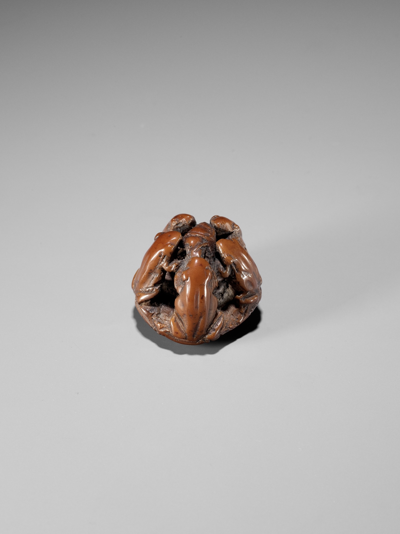 Seimin Chû | A RARE NUT NETSUKE OF FIVE FROGS ON A LOTUS LEAF ...