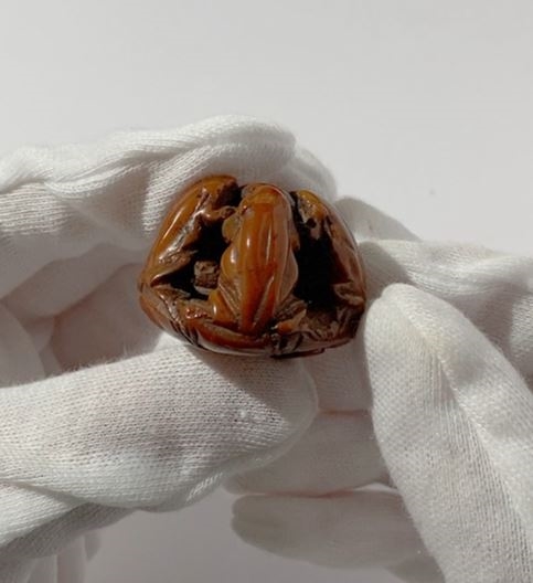 Seimin Chû | A RARE NUT NETSUKE OF FIVE FROGS ON A LOTUS LEAF ...